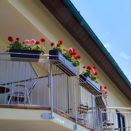 Hotel Garni Schacherer Mullheim  Exterior foto